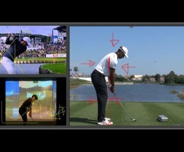 1. Swing Analysis - Golf Setup & Posture(Mr King Cobra)- Amateur Swing vs Tiger Woods, Rory Mcilroy