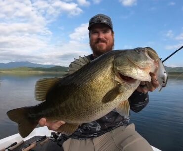 TOP 3 HUGE FALL LARGEMOUTH BASS CAUGHT (compilation)
