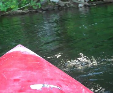 Wilson Pond Fishing for Bass.mp4
