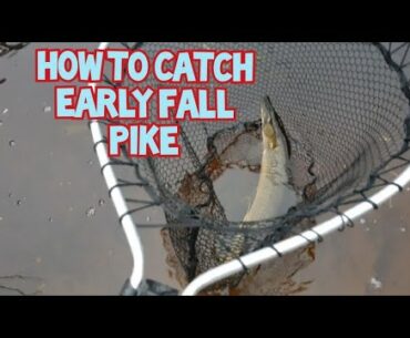 How To Catch Early Fall Pike ( From Shore )
