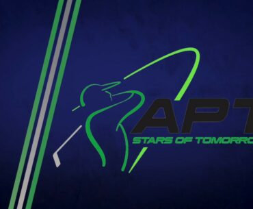What is APT?