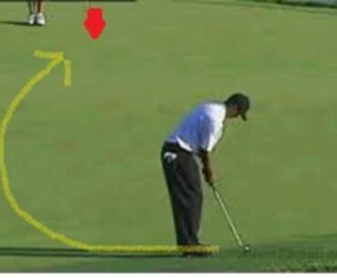 Tiger Woods The Artist