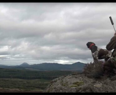 The Shooting Show - More Red Stags at Kinnaird with Chris Dalton