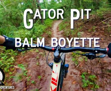 Gator Pit Full Trail | Balm Boyette Mountain Biking
