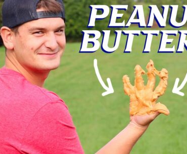 Wheel of Grip Issues