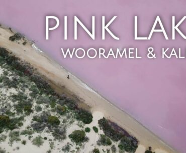 PINK LAKES, WOORAMEL AND KALBARRI BY DRONE //4K drone footage of WA