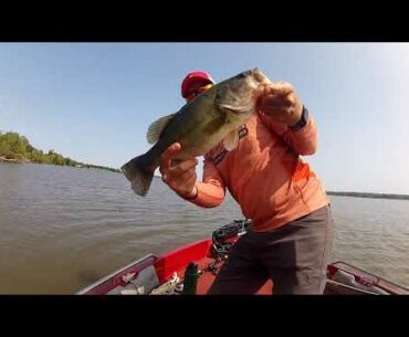 Bass Fishing Pool 19 9/15/2020