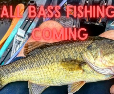 The Fall is Coming - Bass Fishing the Fall Transition