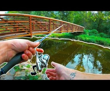 Catch MORE BASS This FALL (Creek Fishing)
