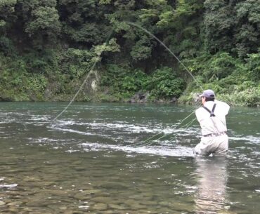 Various Skagit Casts (River left)