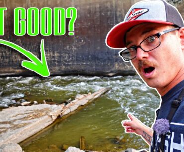 What Lives In This WATERFALL Under A HIGHWAY BRIDGE?!? (Wasn't Expecting THIS)