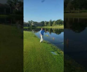 Relief from temporary water on hole #12