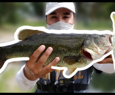 Glide Bait and Grasshoppers for tough summer bass