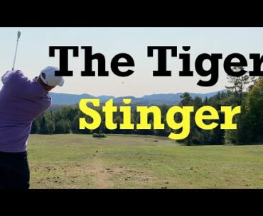 Smash a Tiger Woods Stinger - Golf Swing Basics - IMPACT SNAP