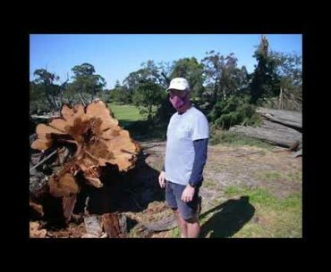 Golf Club during COVID