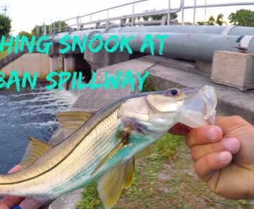 CATCHING SNOOK AT URBAN SPILLWAY| FLATSFEVER FISHING