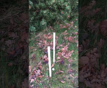 Opgave 13 (Golfreglerne). Er bolden out of bounds
