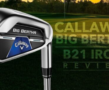 CALLAWAY BIG BERTHA B21 GOLF IRONS WHO WOULD GAME THEM