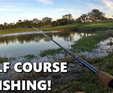 Florida Golf Course Bass Fishing!