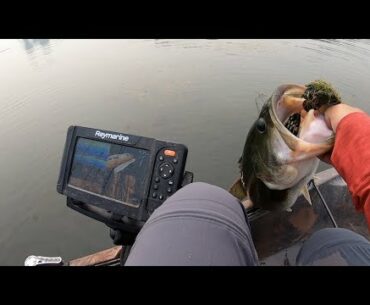 20 Big Bass from 2020