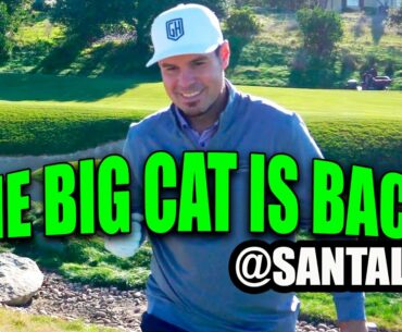 THE RETURN OF THE BIG CAT!