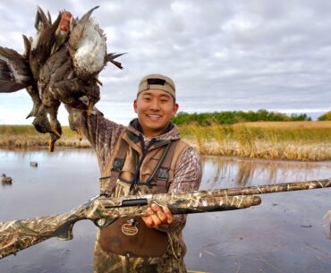Duck Hunting Tiny PUBLIC LAND SLOUGH! (LIMITED OUT)