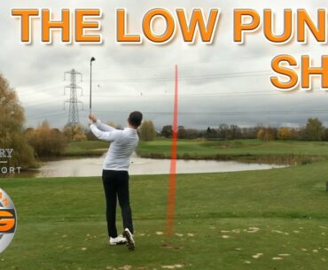 HOW TO HIT THE LOW PUNCH SHOT