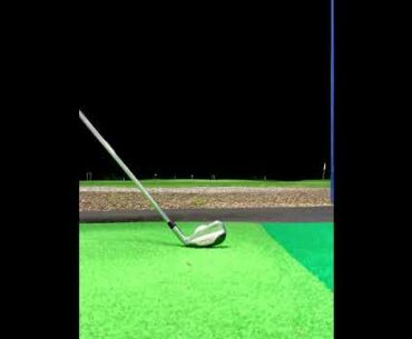 2 iron stinger (close up)