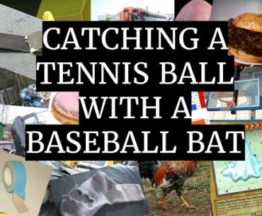 Catch a Tennis Ball With a Baseball Bat