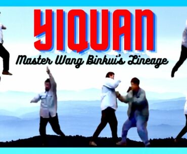 Yiquan Wonderful Application Method Demonstration #yiquan #wangbinkui