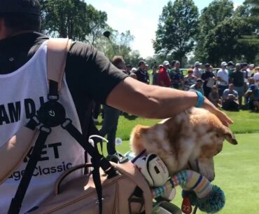 Michigan State basketball coach Tom Izzo tees off at Detroit Country Club for AREA 313 Celebrity ...