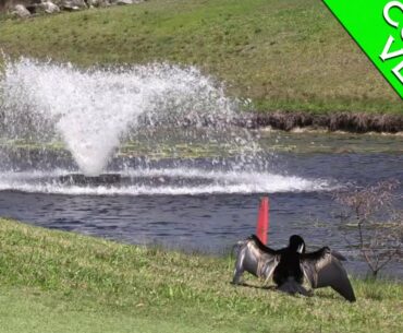 COURSE VLOG PEREGIAN GOLF CLUB PART 2