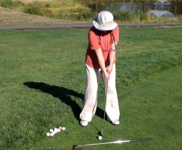 Chip Shot   Putting Style