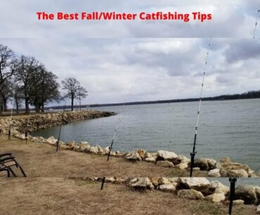 Fall/Winter Catfishing Tips || Bank Techniques