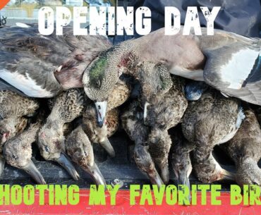 SHOOTING MY FAVORITE BIRD ON OPENING DAY - PUBLIC LAND DUCK HUNTING - NEBRASKA DUCK HUNTING