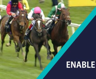 DEFEAT in the 2017 Dubai Duty Free Golf World Cup EBF Stallions Conditions Stakes - Racing TV