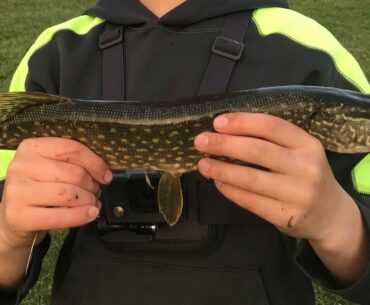 Pike fishing at a Dam!