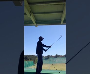 Mavrick 3 Wood testing