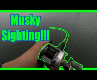 White Potato Lake - MUSKY SIGHTING!!!