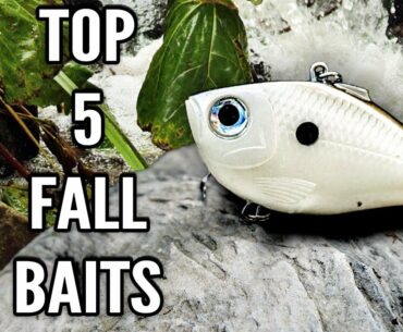 Top 5 Fall Bass Fishing Lures and How to Fish Them