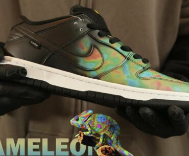 Get your own chameleon? On  Feet Quick Review of Nike SB Dunk Civilist!