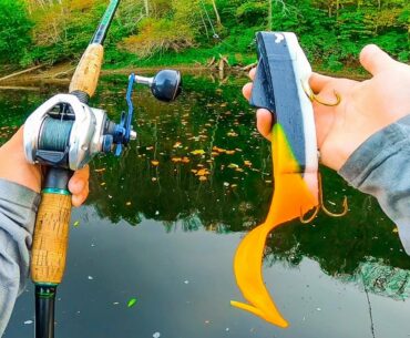 GIANT Unexpected Catch While Hunting Elusive Fish In Shallow Clear River
