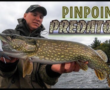 Targeting Fall Pike With Swimbaits (VLOG)