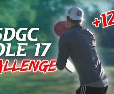 USDGC Hole 17 Challenge
