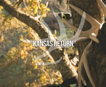 WIDE Buck at Last Light in Kansas - "Kansas Return"