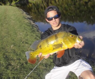 PEACOCKBASS ON A 2ft ICE ROD! Challenge!