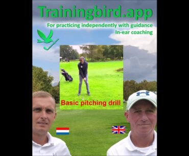 Trainingbird: Practicing independently with guidance