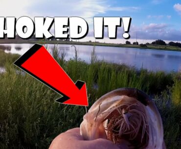 SUMMER BASS FISHING IN FLORIDA!