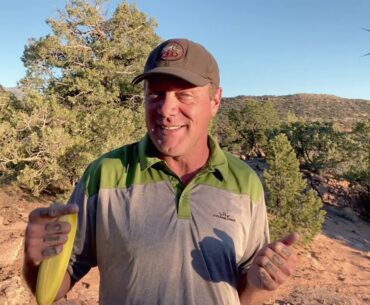 How to Choose a Disc Golf Teacher and My Approach to Teaching