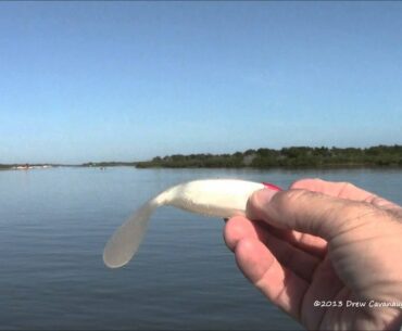 December 20th, 2013 Orlando Florida Flats Fishing Guide Report
